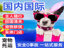 金湾机场物流国际宠物托运 【国